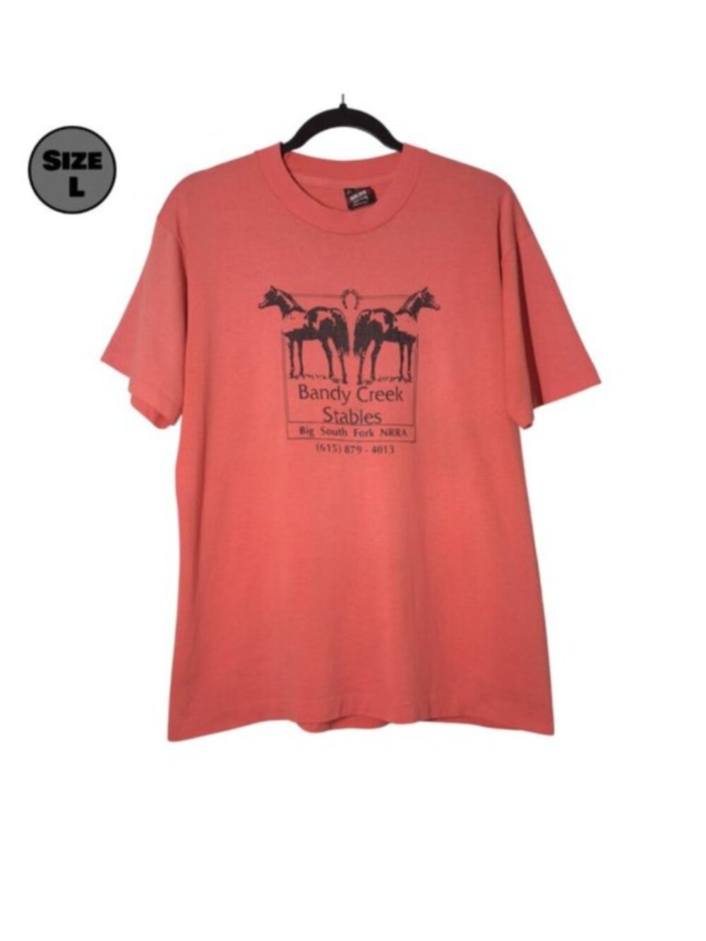 VINTAGE Bandy Creek Stables Big South Fork USED Shirt (DISTRESSED, L, Tennessee)